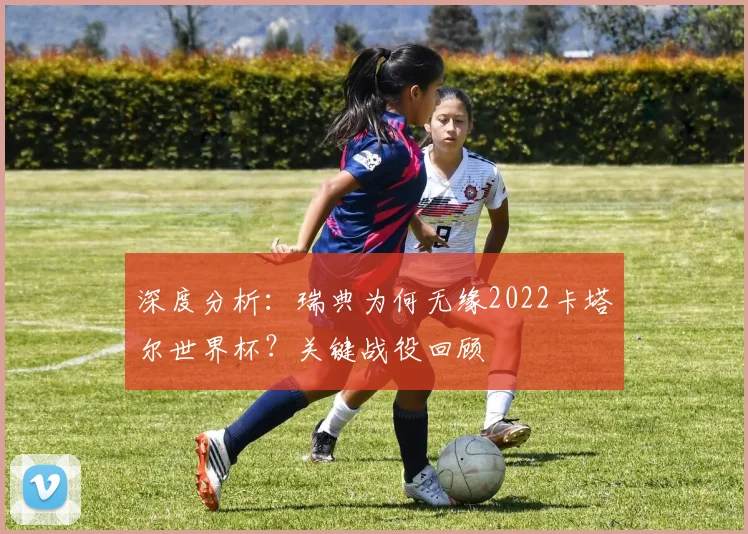 深度分析:瑞典为何无缘2022卡塔尔世界杯?关键战役回顾