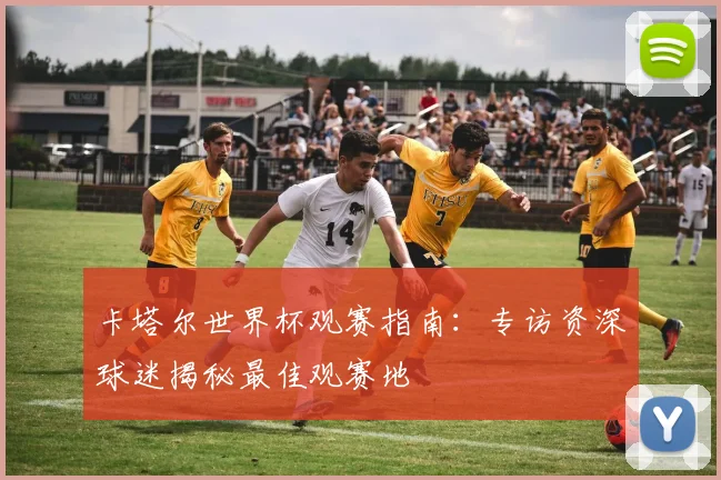 卡塔尔世界杯观赛指南：专访资深球迷揭秘最佳观赛地