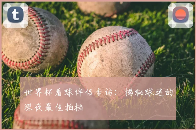 世界杯看球伴侣专访:揭秘球迷的深夜最佳拍档