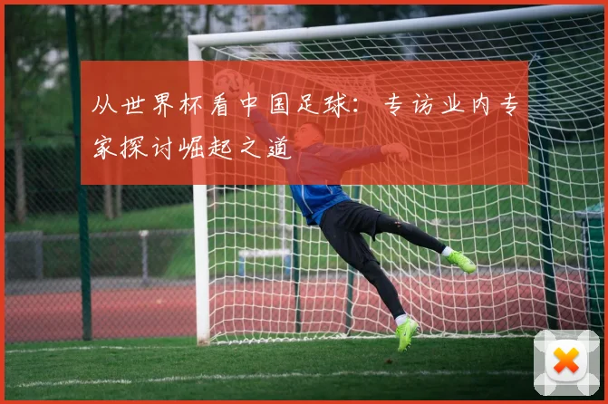 从世界杯看中国足球:专访业内专家探讨崛起之道