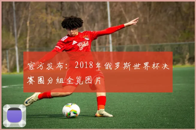 官方发布:2018年俄罗斯世界杯决赛圈分组全览图片
