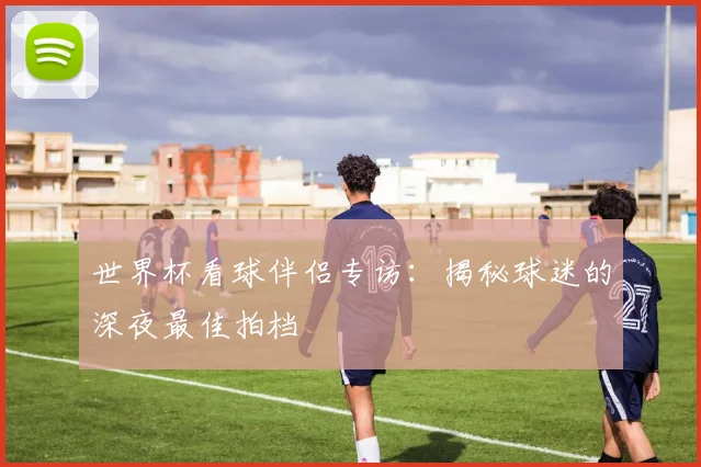 世界杯看球伴侣专访:揭秘球迷的深夜最佳拍档