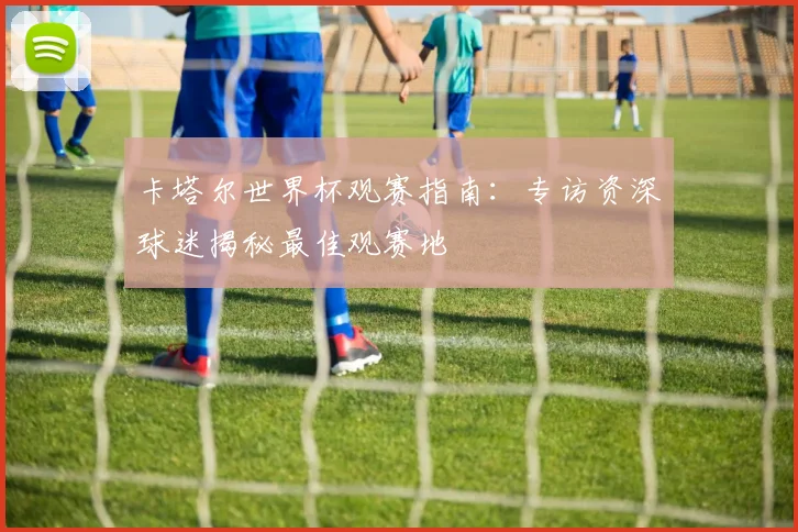 卡塔尔世界杯观赛指南:专访资深球迷揭秘最佳观赛地