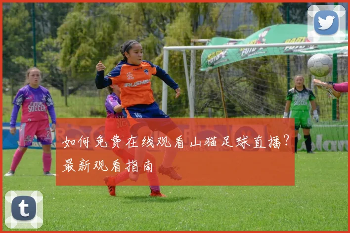 如何免费在线观看山猫足球直播？最新观看指南