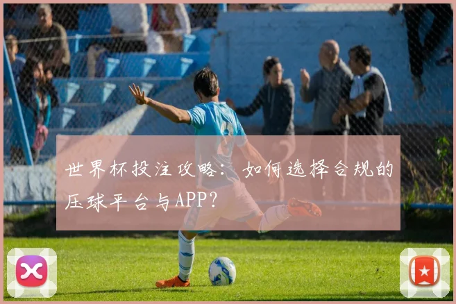 世界杯投注攻略：如何选择合规的压球平台与APP？